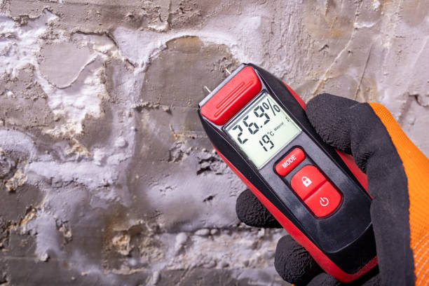 Best Mold Removal Process  in Bellemont, AZ