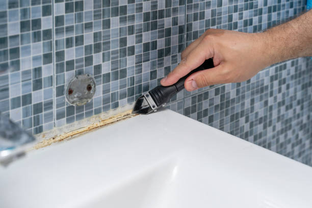 Best Certified Mold Removal  in Bellemont, AZ
